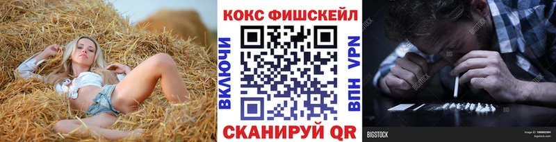 где купить наркотик  Омск  Cocaine FishScale 
