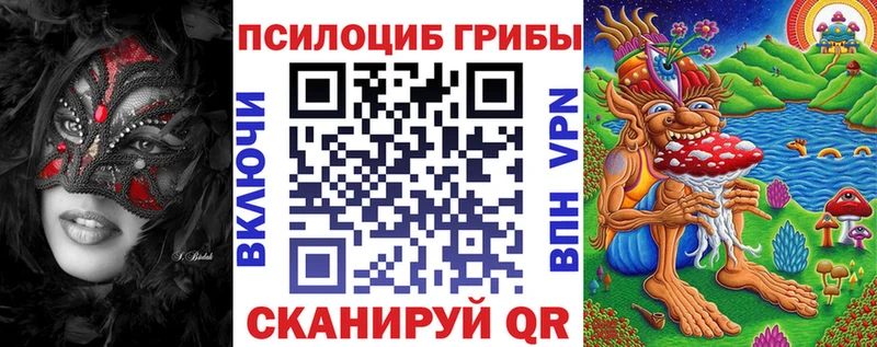 цены наркотик  Омск  Галлюциногенные грибы GOLDEN TEACHER 