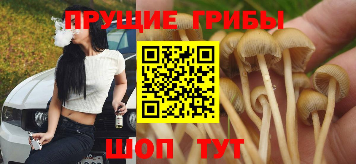 Омск  Псилоцибиновые грибы мицелий  Вход с VPN  закладки  Псилоцибиновые грибы мухоморы 